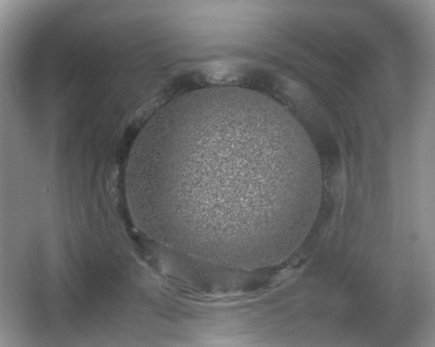 X0000066960319200603311430