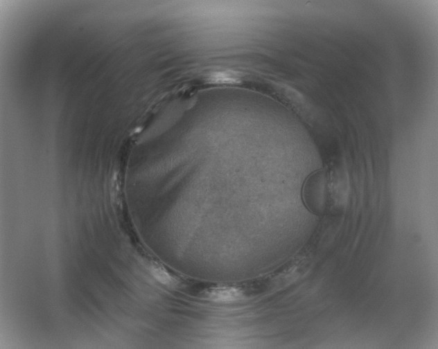 X0000066960322200603311430