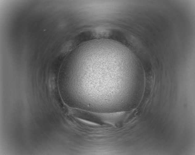 X0000066960323200603311430