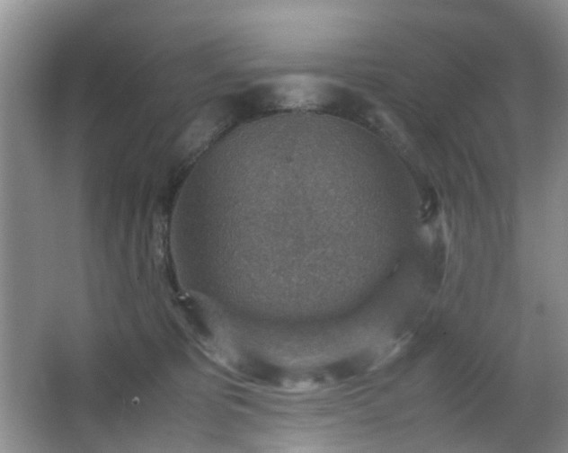 X0000066960325200603311430