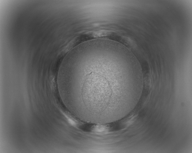 X0000066960327200603311430