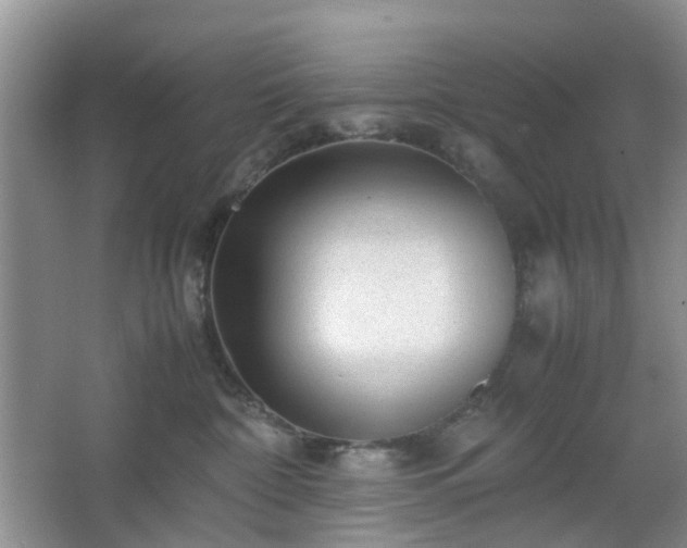 X0000066960332200603311430