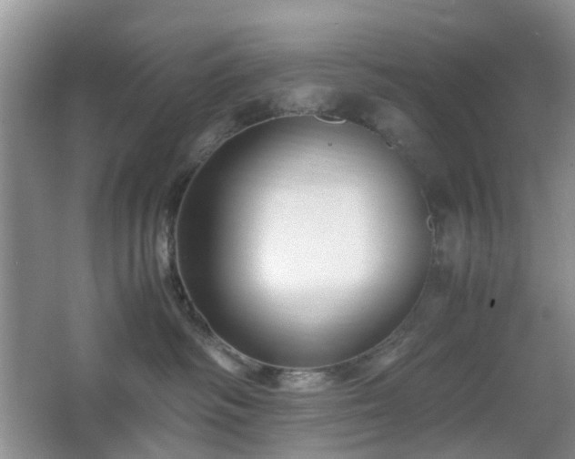 X0000066960334200603311430