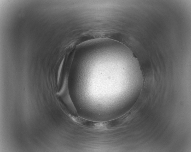 X0000066960335200603311430