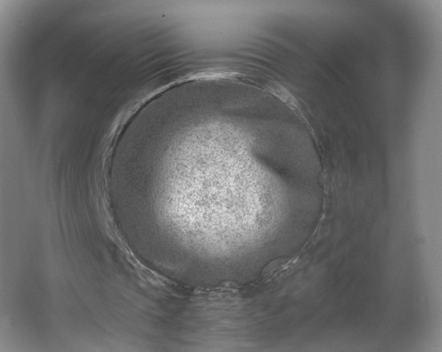 X0000066960337200603311429