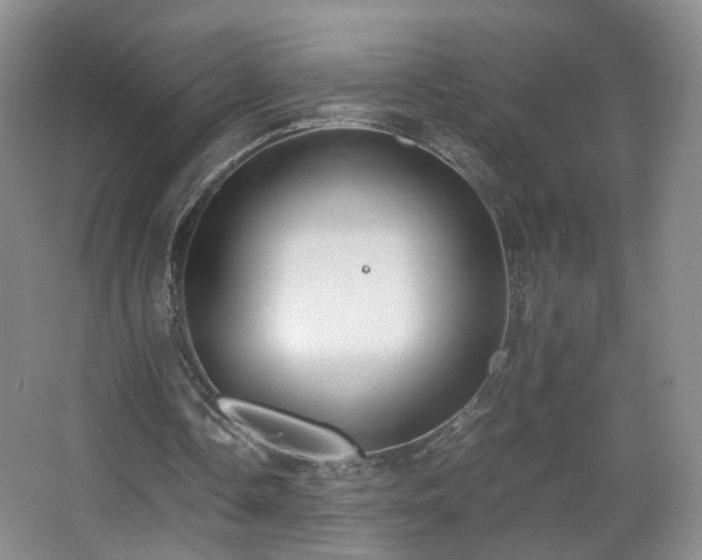 X0000066960338200603311429