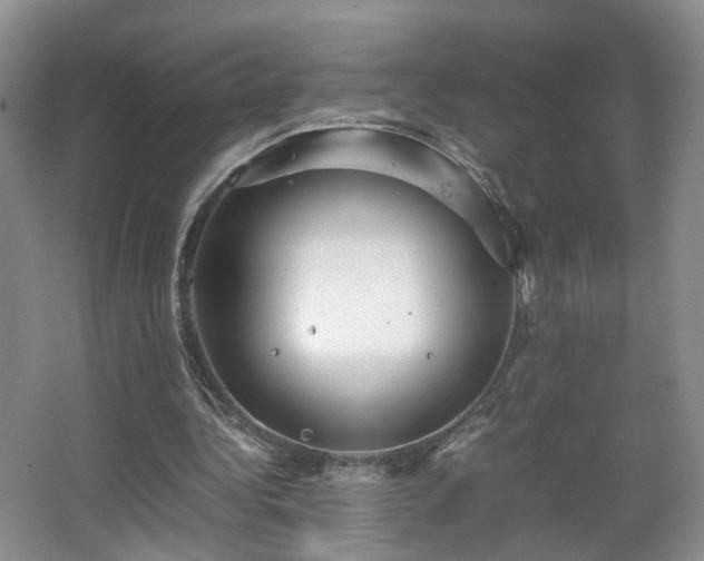 X0000066960340200603311429