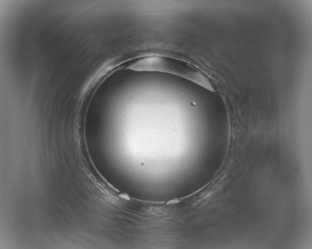 X0000066960341200603311429