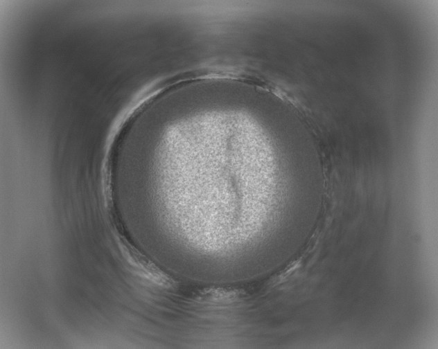 X0000066960343200603311429