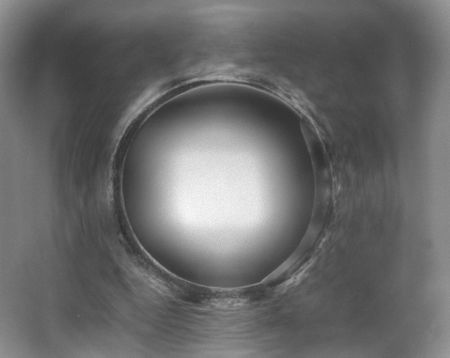 X0000066960344200603311429