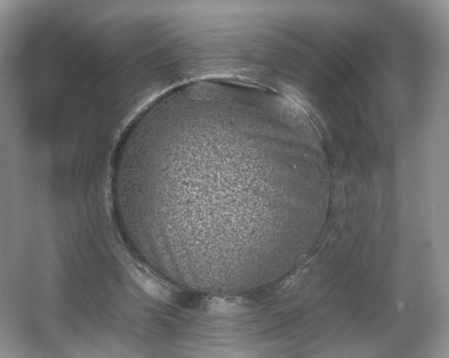 X0000066960346200603311429