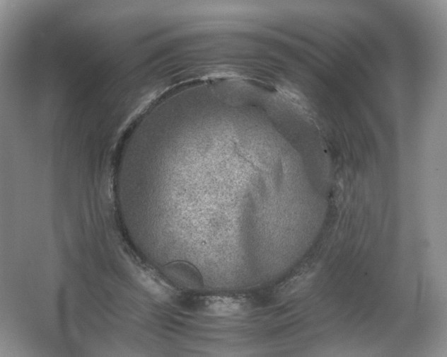 X0000066960347200603311429