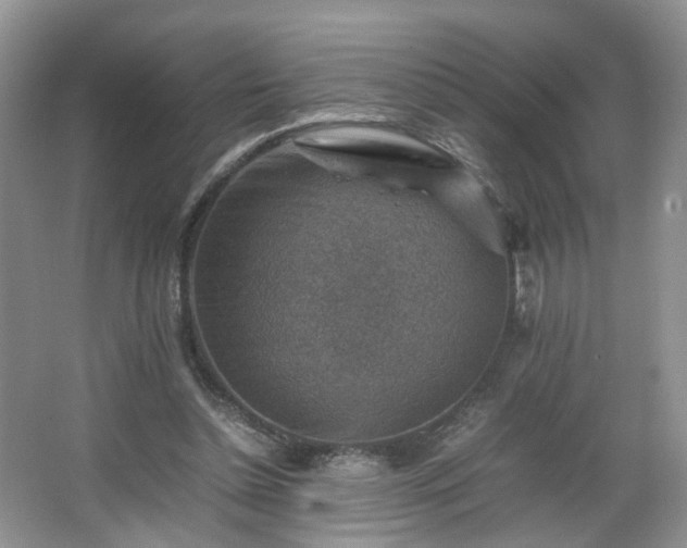 X0000066960348200603311429