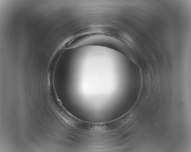 X0000066960350200603311429