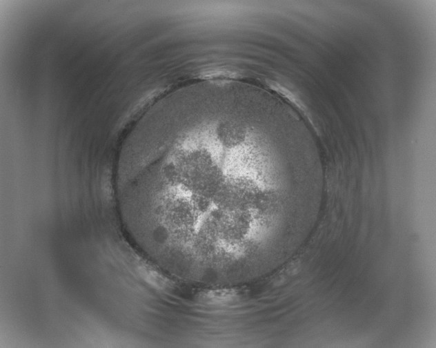 X0000066960353200603311429