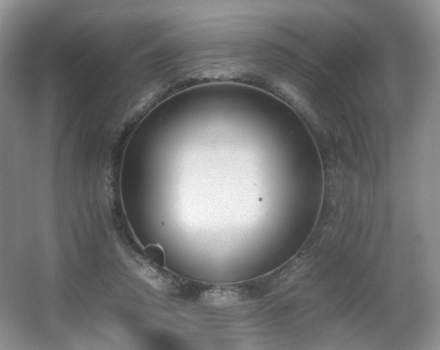 X0000066960354200603311429