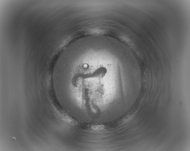 X0000066960355200603311429