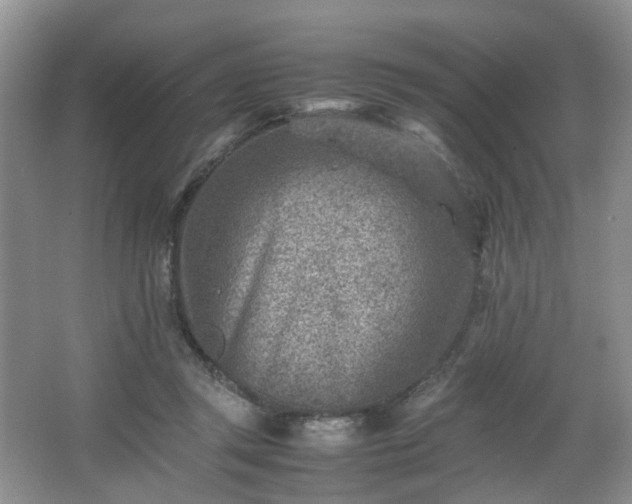 X0000066960357200603311429