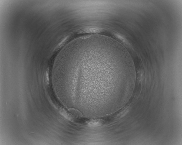 X0000066960358200603311429