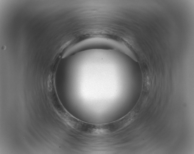 X0000066960360200603311429