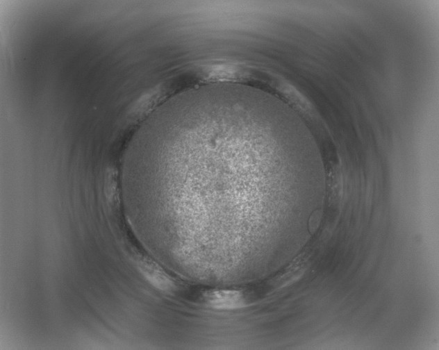 X0000066960361200603311429