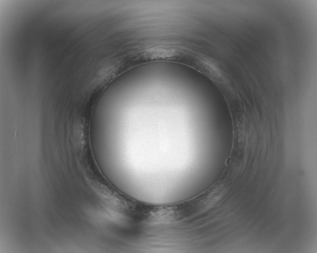 X0000066960362200603311429