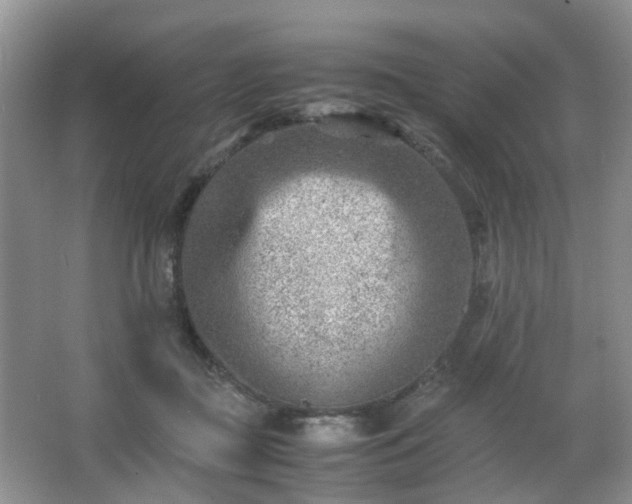 X0000066960363200603311429