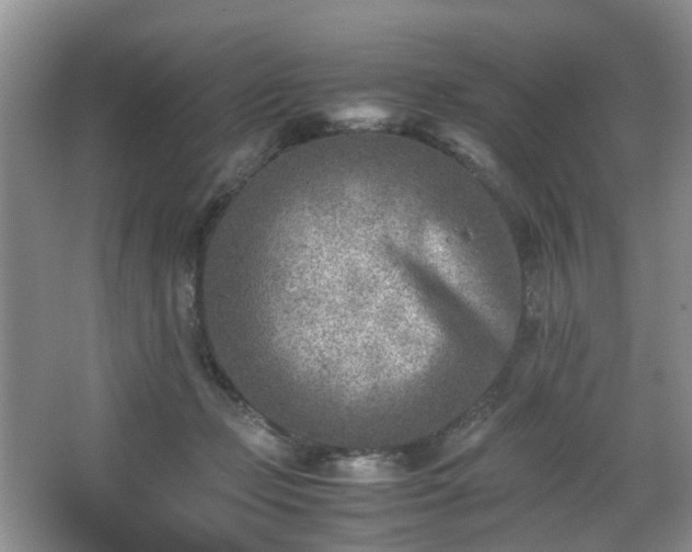 X0000066960365200603311429