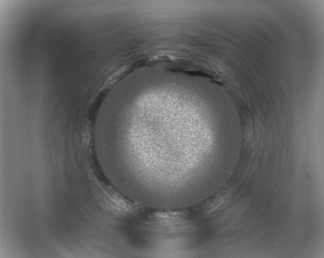 X0000066960367200603311429