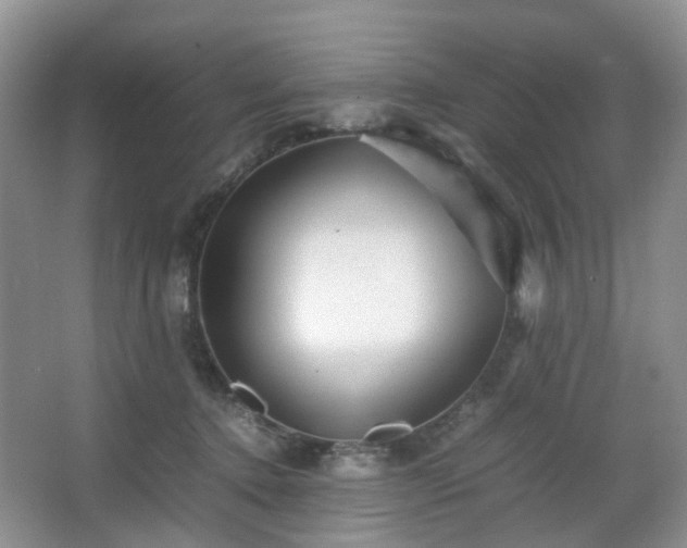 X0000066960368200603311429