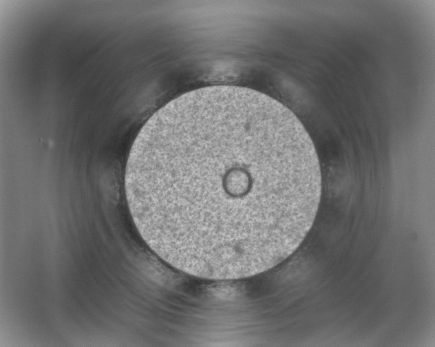 X0000066960370200603311429