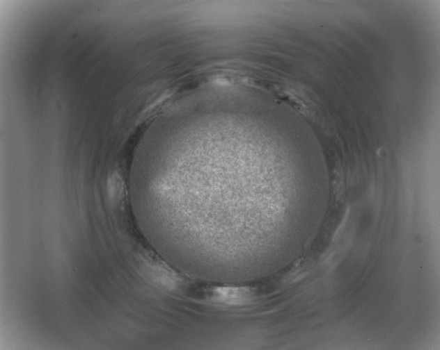 X0000066960371200603311429