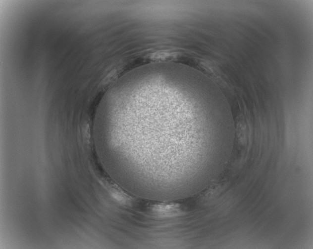 X0000066960375200603311429