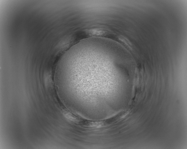 X0000066960377200603311429