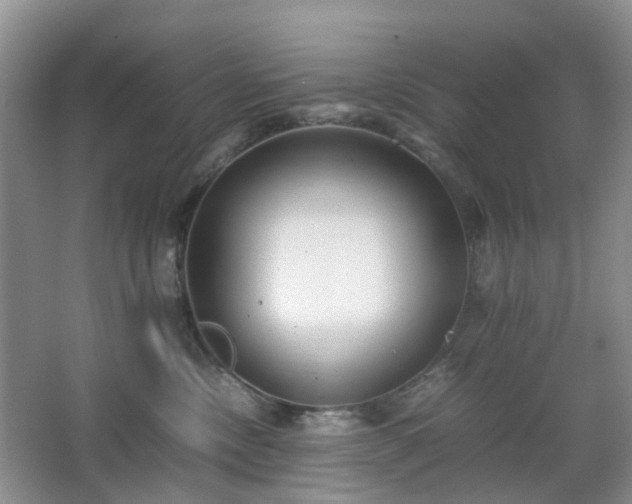 X0000066960378200603311429