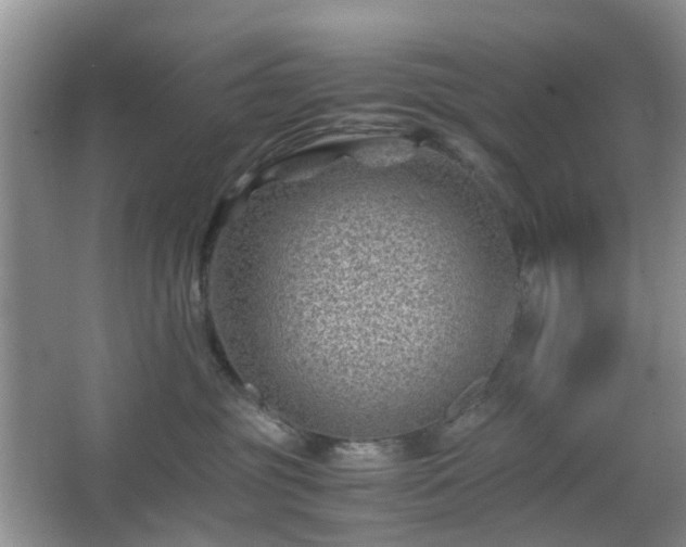 X0000066960381200603311429