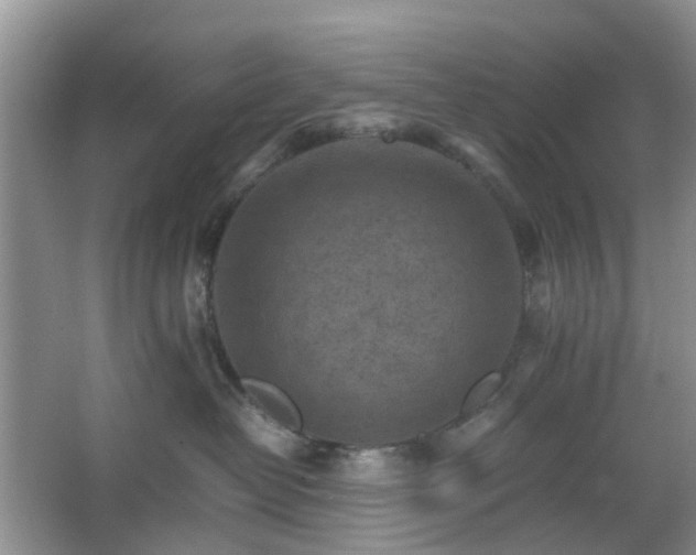 X0000066960382200603311429