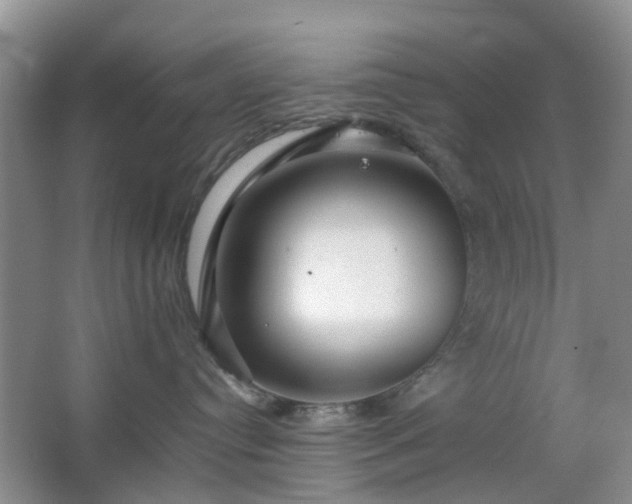 X0000066960384200603311430