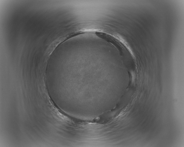 X0000066960385200603311429