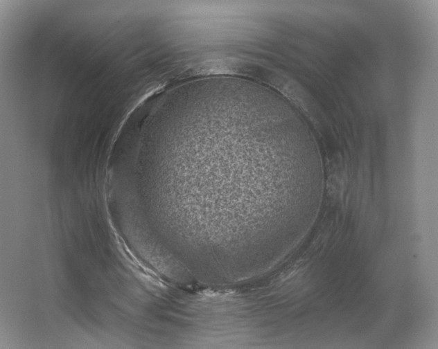 X0000066960386200603311429