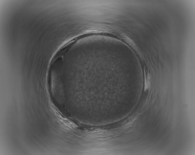 X0000066960387200603311429