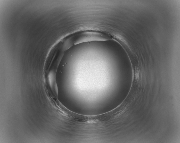 X0000066960388200603311429