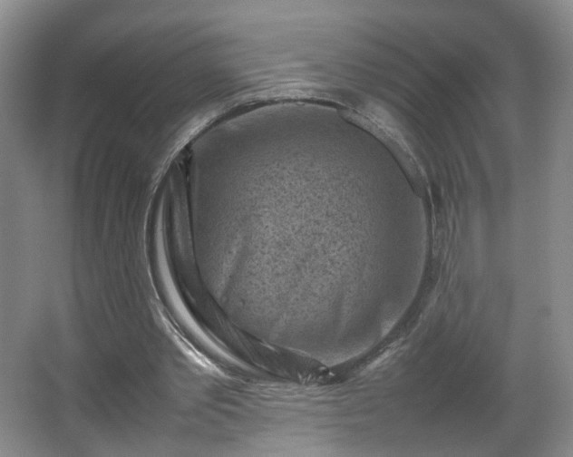 X0000066960389200603311429