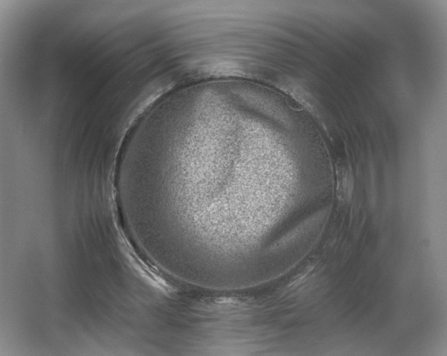 X0000066960390200603311429