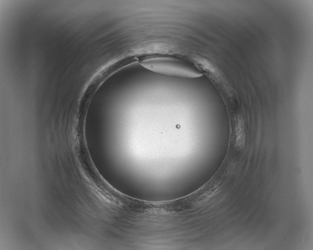 X0000066960392200603311429