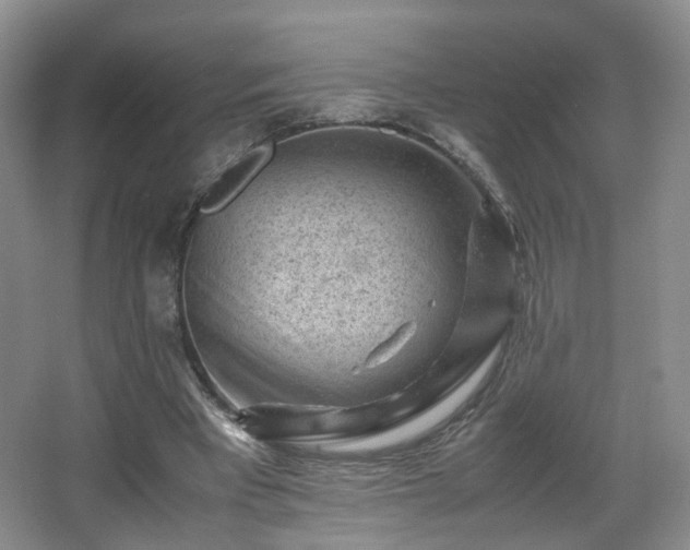 X0000066960393200603311429