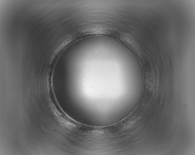 X0000066960394200603311429