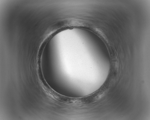 X0000066960395200603311429