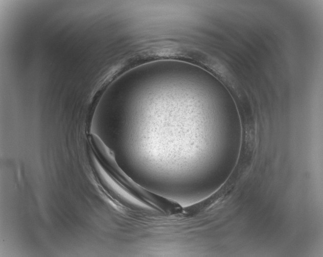 X0000066960397200603311429