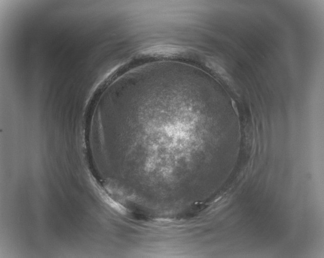 X0000066960399200603311428